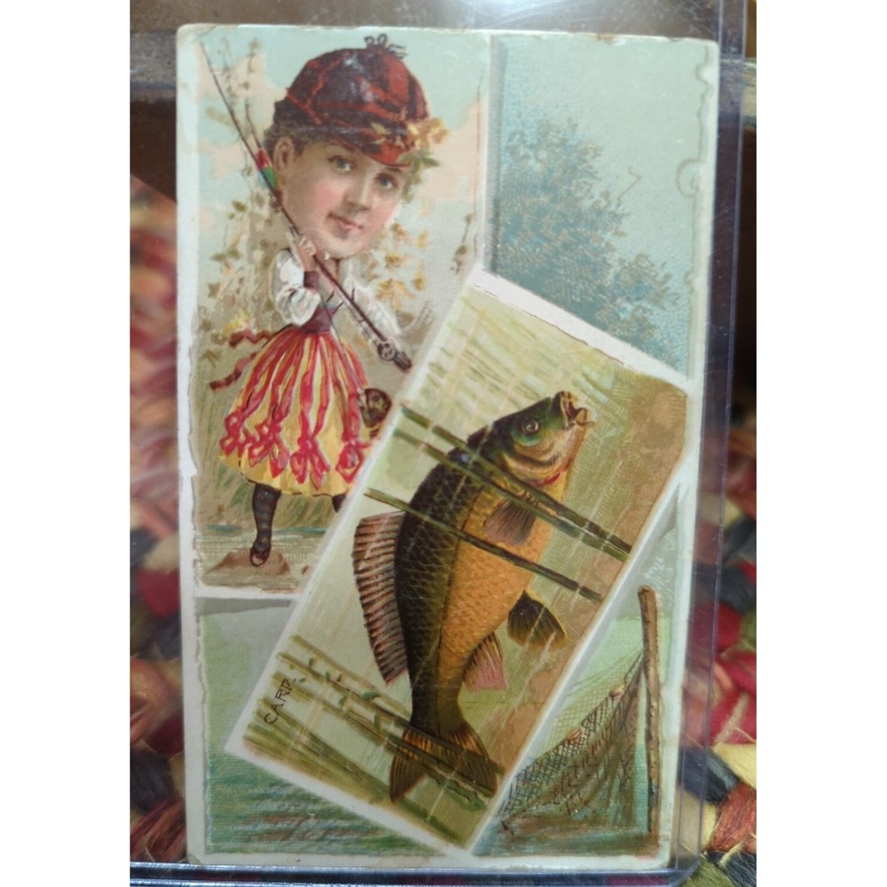 Antique Carp Advertising Fish Fishing Fisherman Trade Ad Card Honest Long Cut